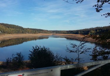 Trail Walking Eupen - Barrage Eupen eaux très basses - Photo