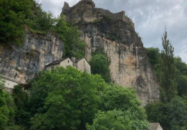 Tour Wandern Gorges du Tarn Causses - Sainte enfiliez - Photo