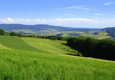 Randonnée A pied Lengnau - Mühlibach - Althau - Photo
