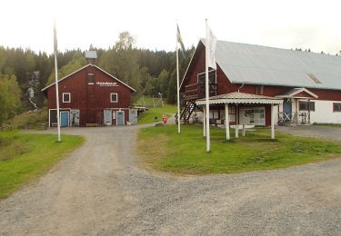 Excursión A pie Ljustorps distrikt - Rotenleden - Photo