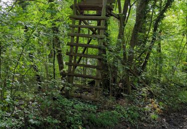 Tocht Stappen Dorlisheim - rando Dorlisheim 2 - Photo