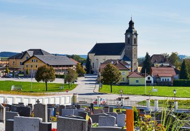 Tocht Te voet Lambrechten - Schnatterweg - Photo