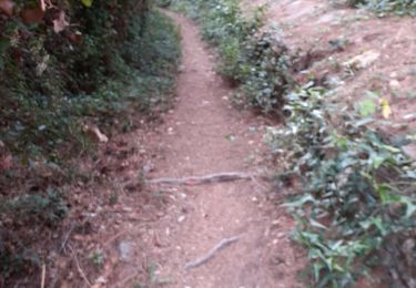 Trail Walking Cassis - Mt Gibaou ,grotte janots Cassis. - Photo