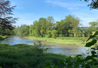 Tocht Stappen Rochefort - Villers -sur-Lesse, la Lesse 11 - Photo