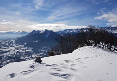 Randonnée Raquettes à neige Château-Bernard - Les Crêtes de La Ferrière - Photo