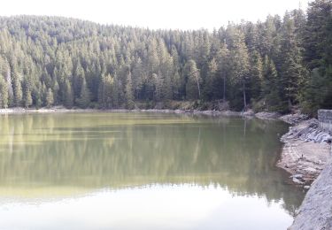 Tour Wandern Sulzern - boden_lac vert_Tanet_bofen - Photo