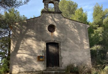 Tour Wandern Bouc-Bel-Air - Bouc Bel-Air tour de la Gardure - Photo