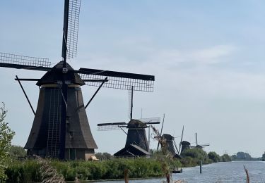 Tocht Elektrische fiets Dordrecht - Les moulins de Kinderdijk à Biesbosch - Photo