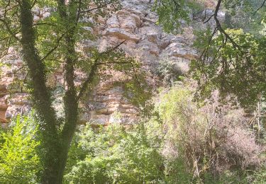 Trail Walking Novéant-sur-Moselle - Gorze - Rochers de la Fraze - Photo