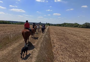 Trail Horseback riding Saint-Hilliers - 02  - La Ville au Bois - Provins (au pied des remparts) - Photo