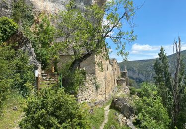 Tour Wandern Mostuéjouls - 21 06 07 Liaucous / Eglazine A / R  - Photo