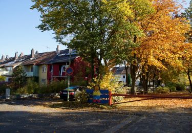 Tocht Te voet Onbekend - Wanderweg 5 - Photo