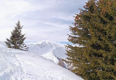 Randonnée Ski de randonnée Valmeinier - Plan Palais Ski - Photo