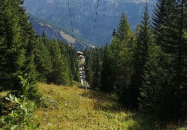 Tocht Noords wandelen Arbaz - le rawyl  - Photo