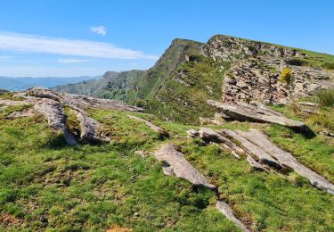 Tocht Stappen Bidarray - iparla - Photo