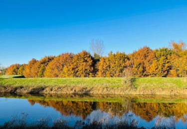 Tocht Stappen Mechelen - Groene Natuurpuntwandeling Barebeekvallei - Mechelen (Muizen) - Photo