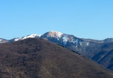 Randonnée A pied Mongiardino Ligure - Anello Borbera - Spinti 9° Tappa Costa Salata Mongiardino - San Fermo - Photo