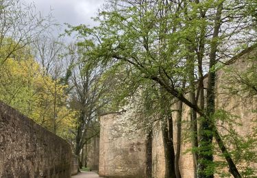 Percorso Marcia Metz - Metz Remparts-Seille-St Jacques - Photo