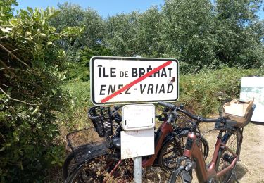 Randonnée Marche Île-de-Bréhat - tour de Brehat  - Photo