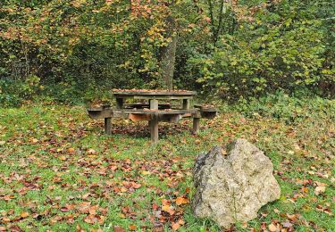 Randonnée Marche Hastière - Balade à Waulsort - Photo