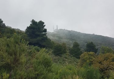 Tour Wandern Peille - Mont Agel Sytitrail + - Photo