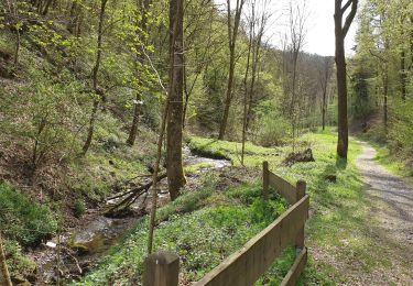 Tocht Stappen Leienkaul - cascade - Photo