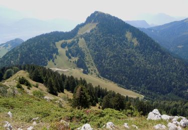 Randonnée A pied Plateau-des-Petites-Roches - Tour de Pravouta - Photo