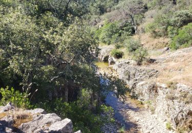 Tour Wandern Roquebrune-sur-Argens - ghg - Photo