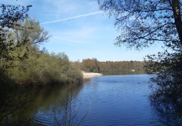 Trail Walking Houthalen-Helchteren - petit tour dans la réserve naturelle du Hengelhoef  - Photo