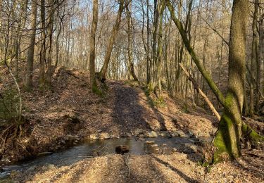 Tour Wandern Pepinster - Les trois bois Tancrémont Gué de Becoen - Photo