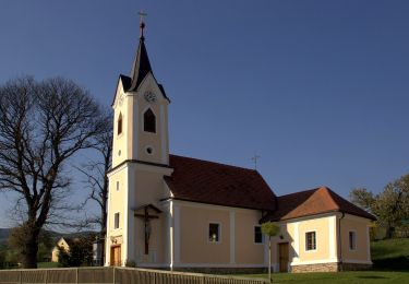 Tour Zu Fuß Feistritztal - Wanderweg 6 - Photo