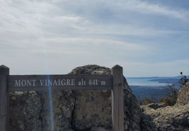 Tocht Stappen Fréjus - ESTEREL trace Mont Vinaigre - Photo