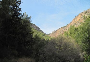 Trail On foot Galil Elyon Regional Council - IL-2071 - Photo