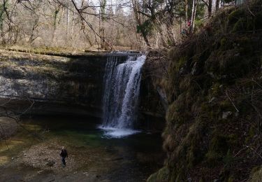 Tour Wandern Bonlieu - Le Hérisson Bonlieu - Photo