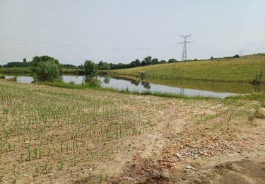 Tour Wandern Grézieu-la-Varenne - grezieu la varenne. entre chemins et goudron  - Photo