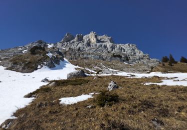 Excursión Esquí de fondo Le Grand-Bornand - Col de Balafrasse et tout de la pointe Est du midi  - Photo