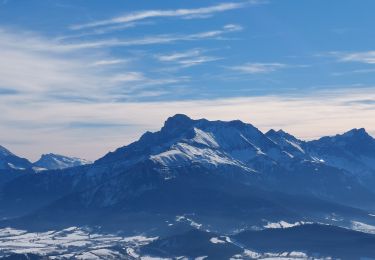 Tour Schneeschuhwandern Susville - les Merlins - Photo