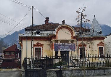 Tour Zu Fuß Brezoi - hiking - Photo