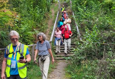 Trail Walking Yerres - Rando 10km Yerres réveillons  - Photo