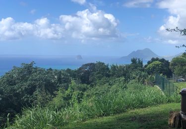 Tour Wandern Sainte-Luce - Corps de garde bois d’Inde bellevue l’adore - Photo