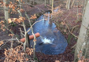 Tocht Te voet Glücksburg - Wanderweg in Glücksburg - Photo