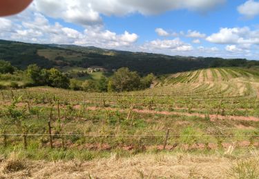 Tour Wandern Nauviale - fgufuy - Photo