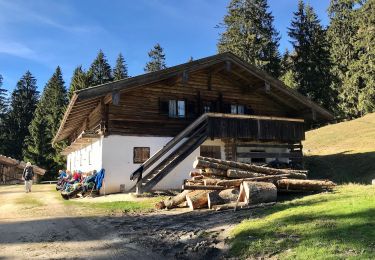 Percorso A piedi Ruhpolding - Wanderweg 33 (Laubau - Kaitlalm) - Photo