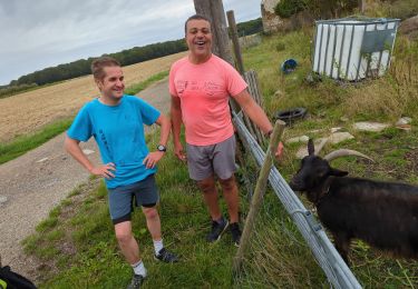 Tocht Lopen Voisins-le-Bretonneux - 230804 champ Garnier chevre - Photo