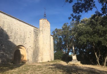 Tour Wandern Puéchabon - Chapelle Saint-Sylvestre - Pioch de Ła Bastide - Photo