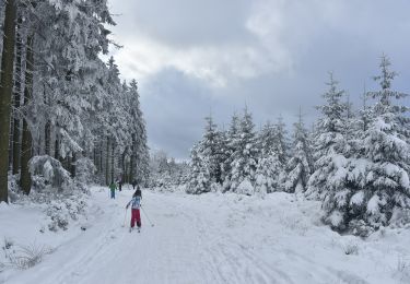 Percorso A piedi Malmedy - Baraque Michel : Croix des Fiancés-Hoegne-Six Hêtres - Photo