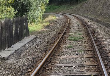 Tocht Stappen Thoiras - Thomas le roc de la chapelle  - Photo