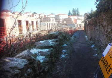 Tocht Stappen Grézieu-la-Varenne - Grezieu la Varenne 19-01-21 - Photo