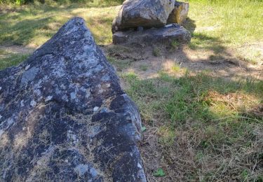 Tour Wandern Crozon - chèvre - Photo