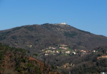 Percorso A piedi Ceranesi - Pontedecimo - Gaiazza - Santuario Madonna della Guardia - Photo